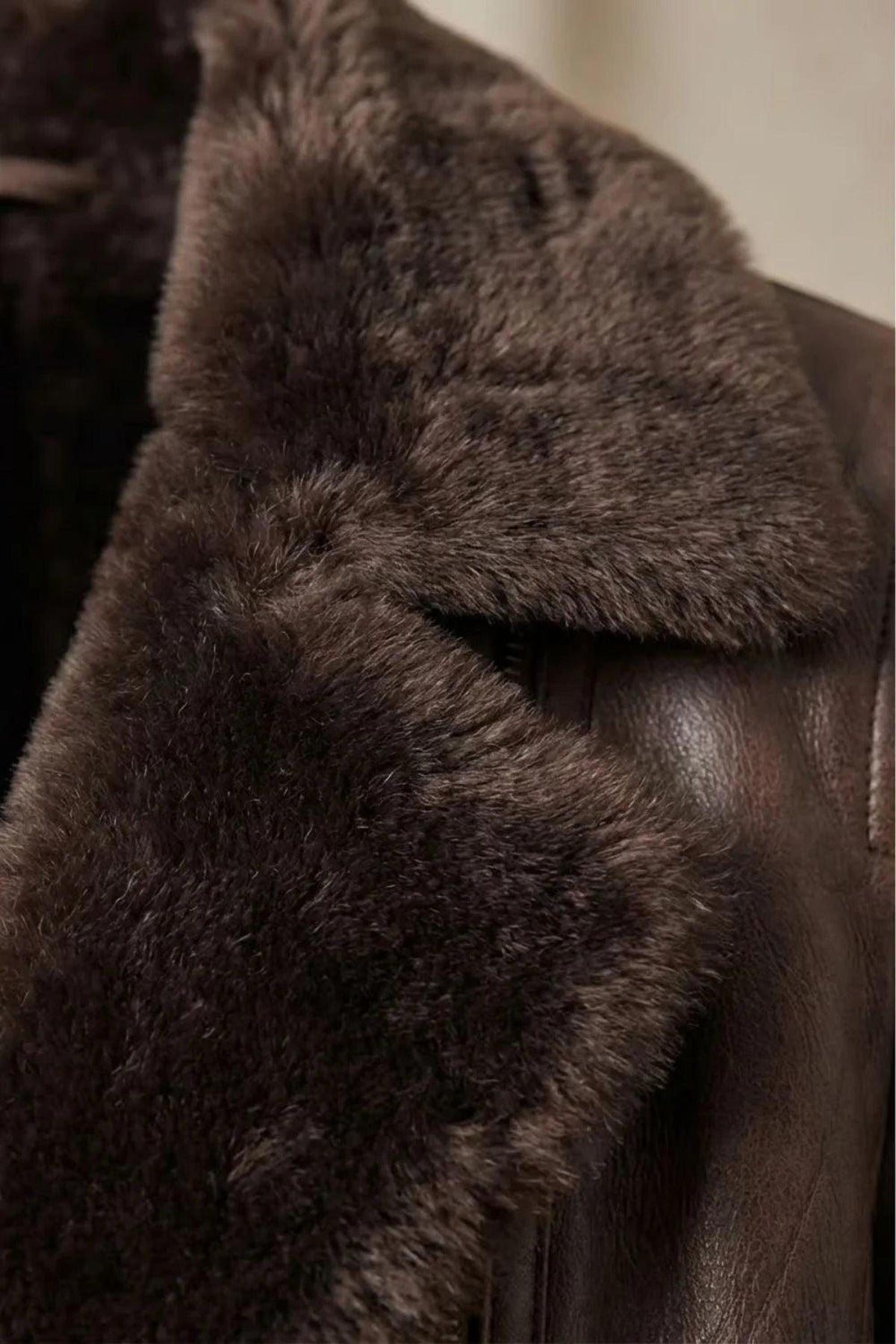 Brown Leather Jacket with Shearling Collar for Cold Weather 4