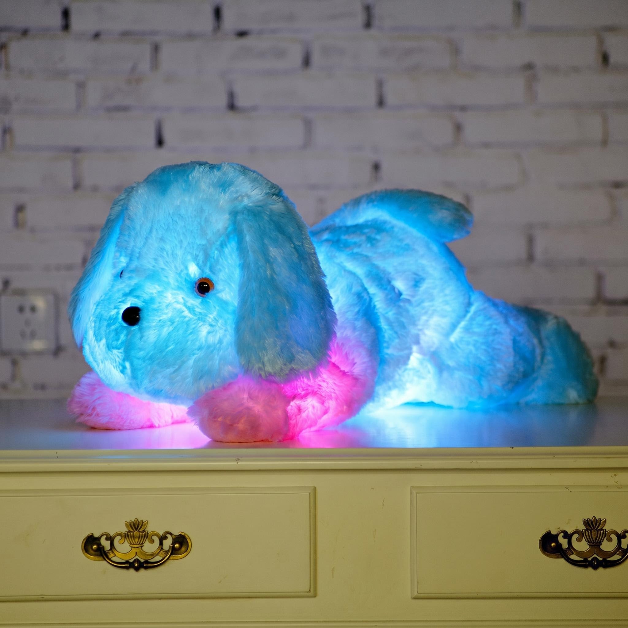 Luminous dog plush pillow glowing with blue and pink LED lights on a white dresser.