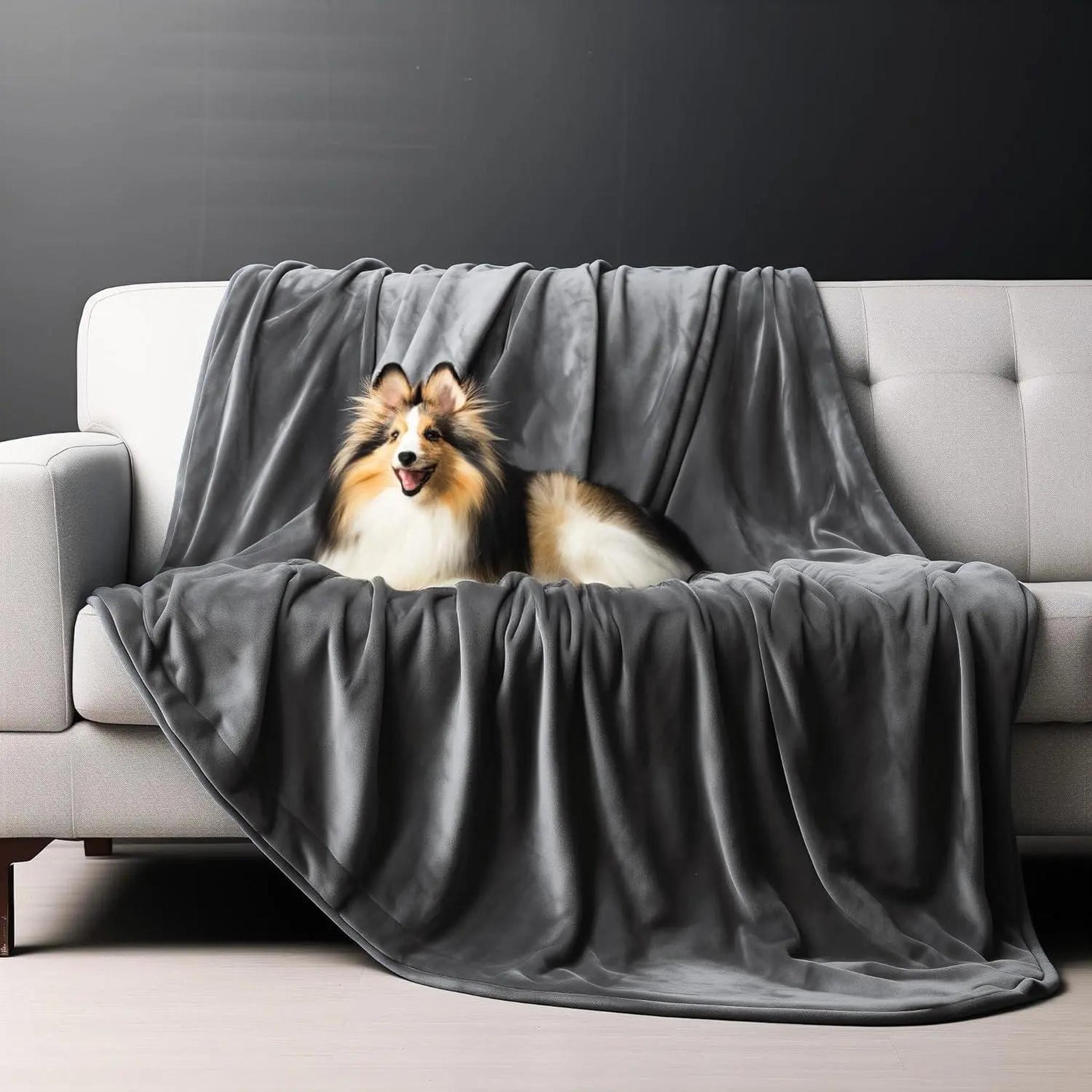 Reversible dark moon grey flannel fleece blanket draped on a light grey sofa with a dog.